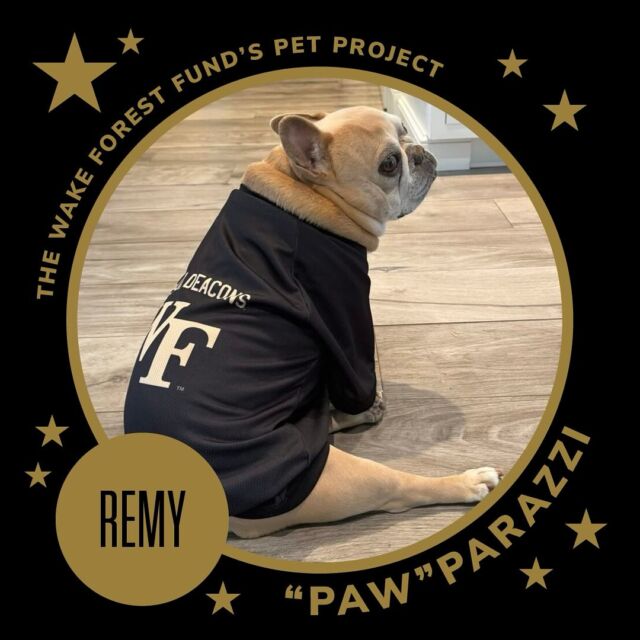 “My name is Remy. When I’m asleep and my legs start kicking, I’m dreaming of the glory that comes with being crowned Deac’s Best Friend. Help a puppy out.“ Visit the link in our bio to vote today! While you’re there, submit your own best furry (feathered? scaled?) friend. 🎩 Go Deacs!